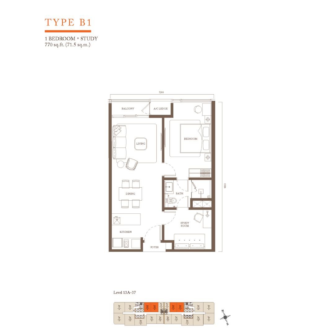 Type B1